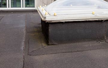 disadvantages of Pentrer Felin flat roofs