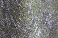 Pentrer Felin fibreglass roof work