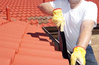 Pentrer Felin roof cleaners